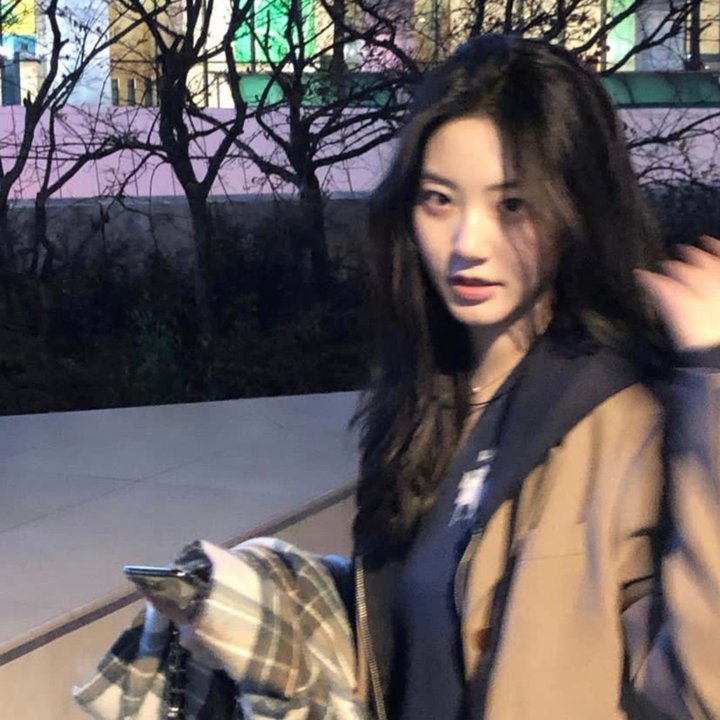 狗咬狗骨粤语免费在线观看